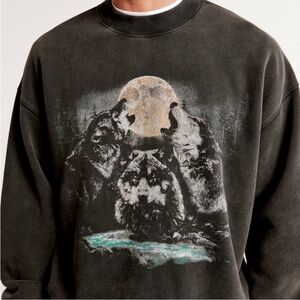 Abercrombie & Fitch Alaska Wilderness Oversized Graphic Crewneck Sweatshirt